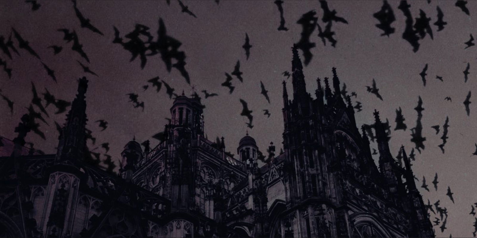 ⛧ ☾༺ ♰ Lex ♰༻☽⛧ photo