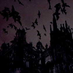 ⛧ ☾༺ ♰ Lex ♰༻☽⛧ photo