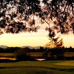 ✨*.• POPI •.* ✨ photo