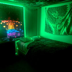 Vividly Colored Bedroom with Aquarium and Tie-Dye