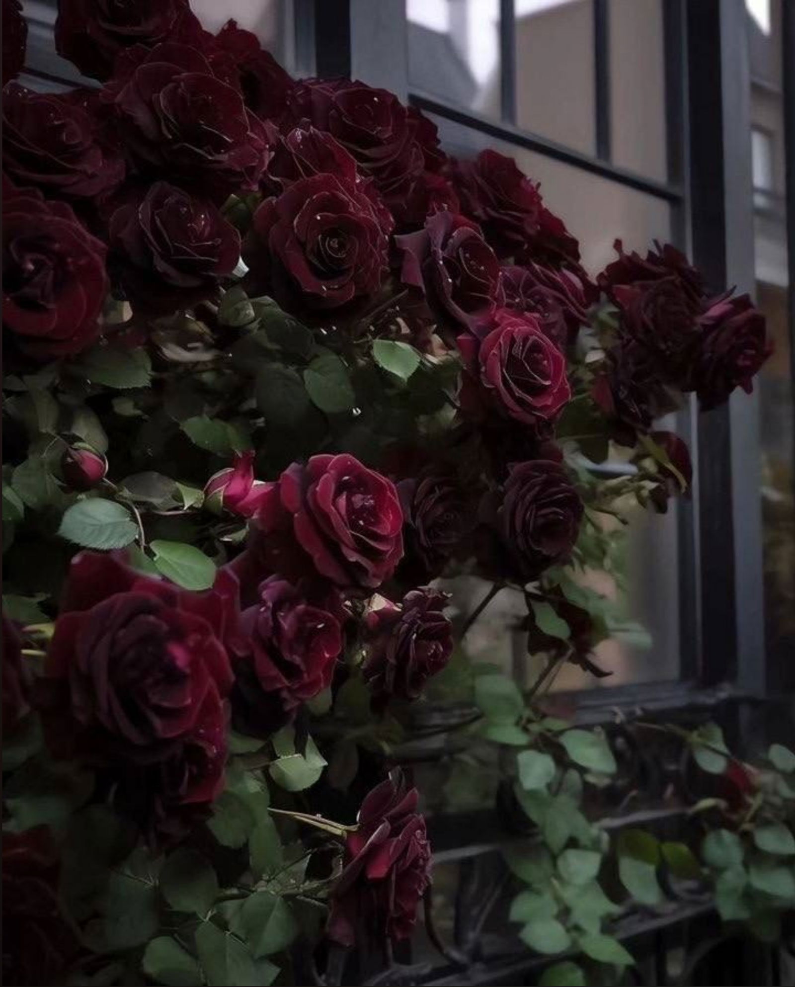 𝓐𝓶𝓮𝓷𝓽𝓱𝔂 🥀 photo