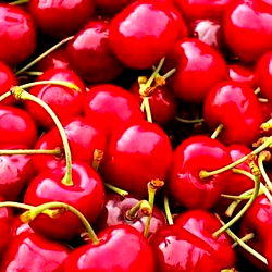 Effeerre๐๐๐ฅ๐ photo