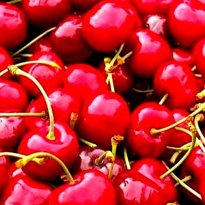 Effeerre๐๐๐ฅ๐ photo