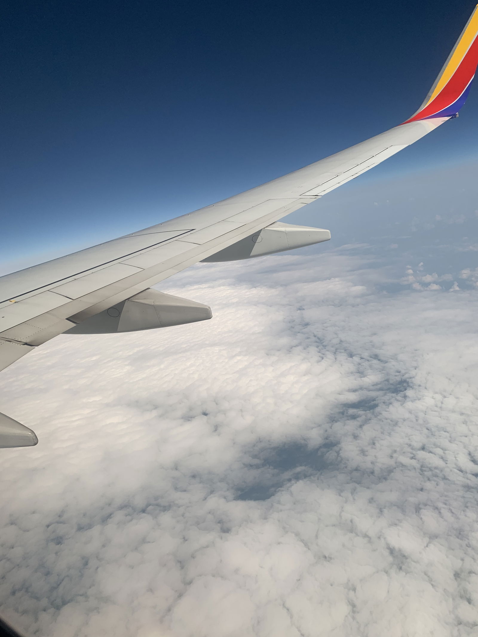 BackwoodsBoy78 photo