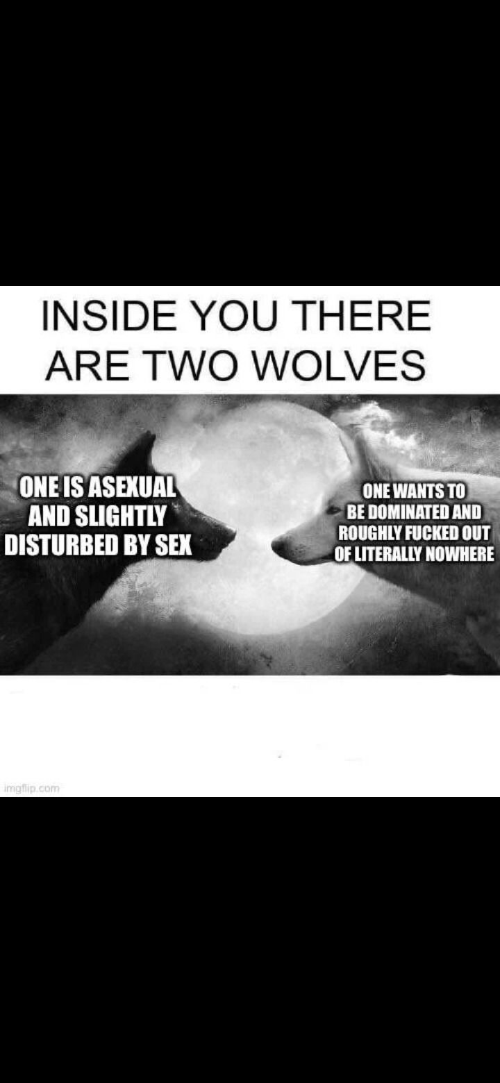 Chibi Chewbacca photo