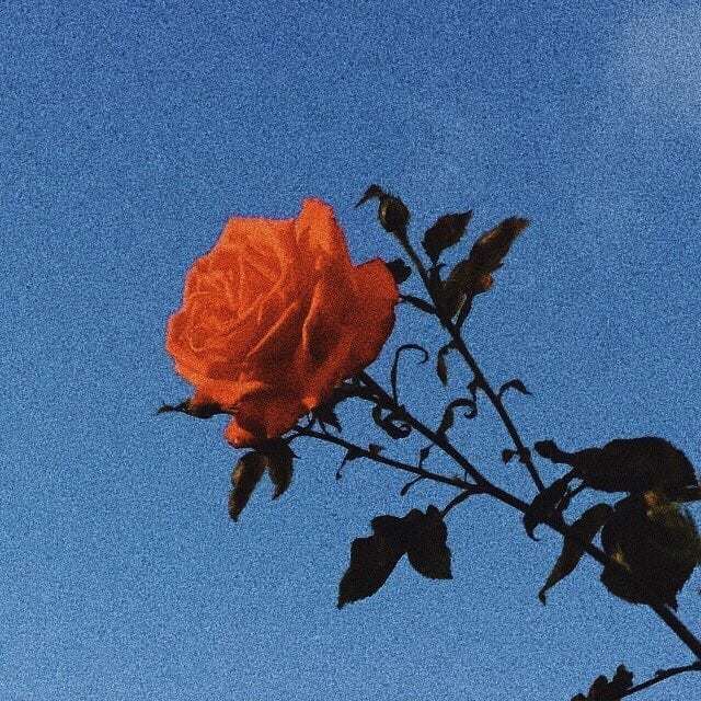 Princess Bitchass photo