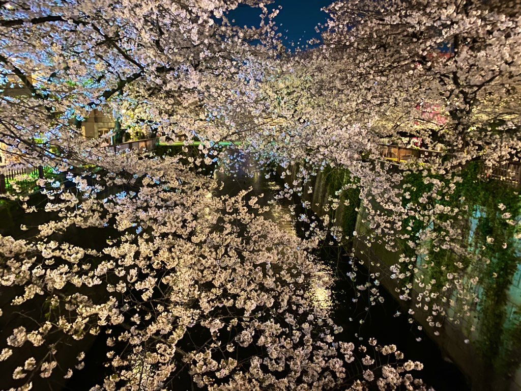 玉子さま🐣 photo