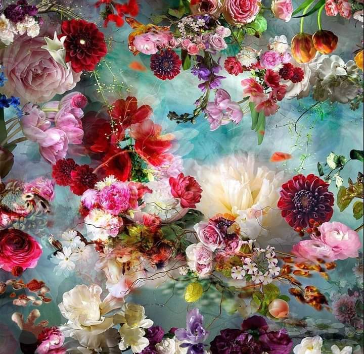 Alice the Wonderful 🐇 photo