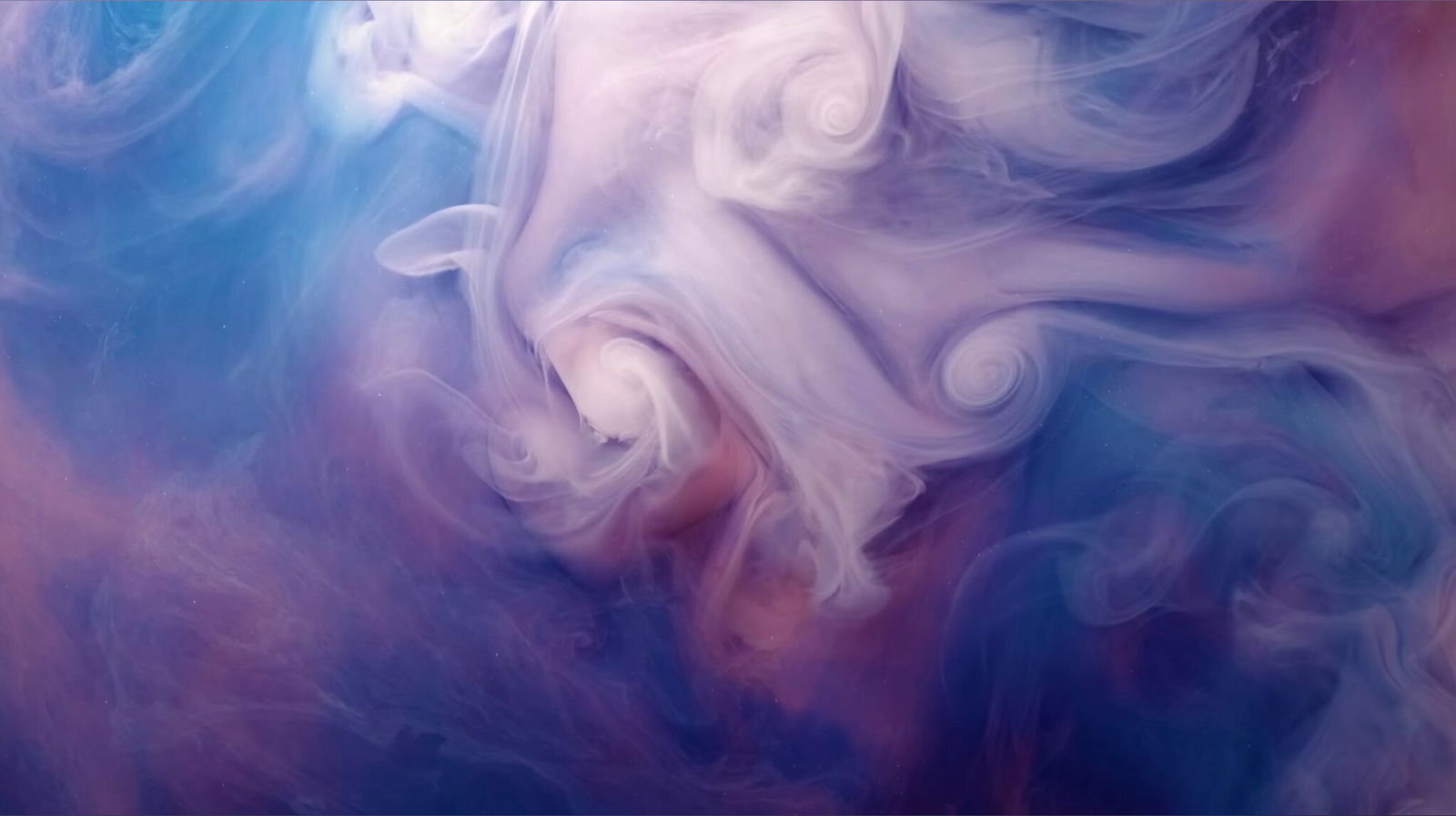 Alice the Wonderful 🐇 photo