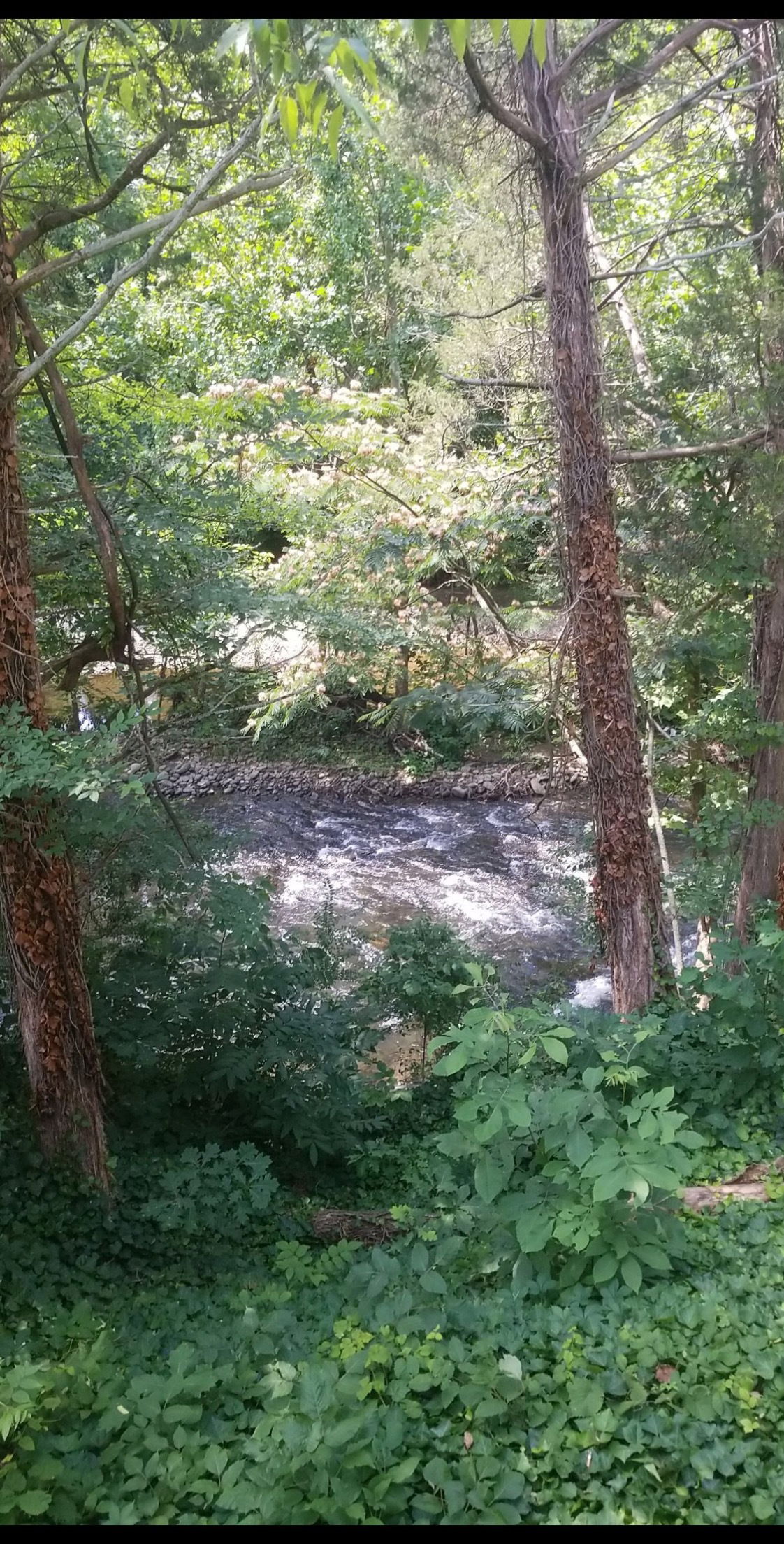 Mason Alexander photo