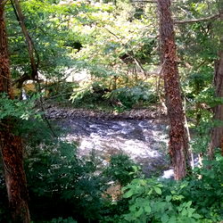 Mason Alexander photo