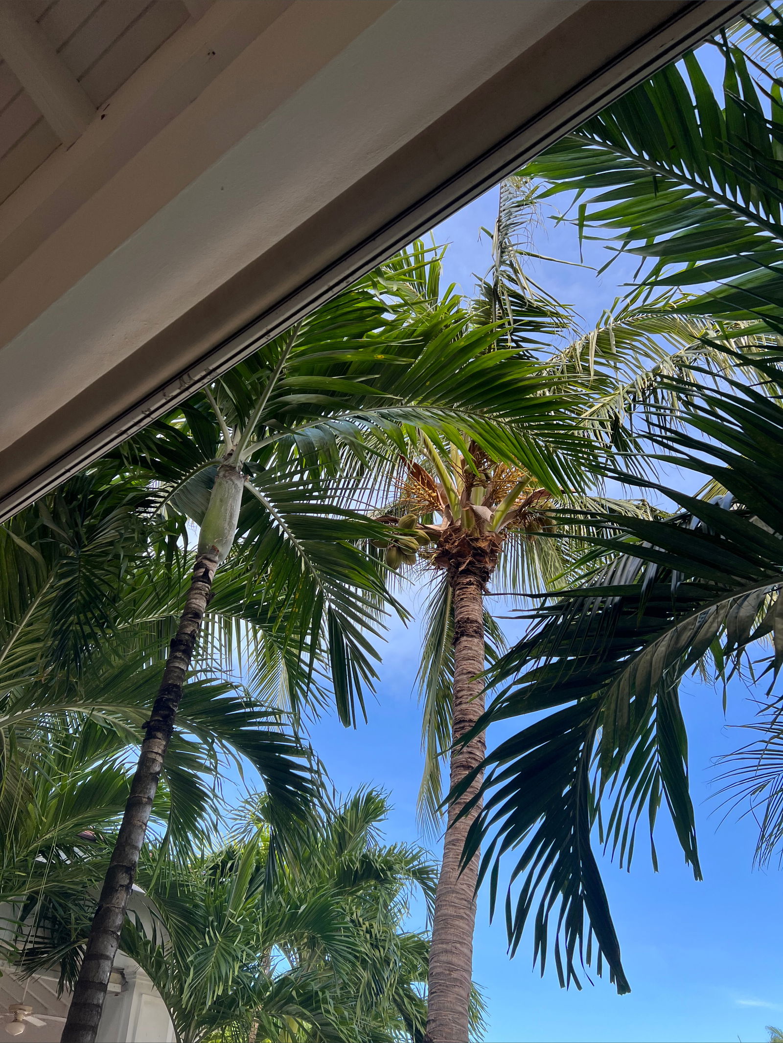 𝘢𝘮𝘢𝘯𝘥𝘢 𝘮𝘢𝘨𝘨𝘪𝘦 photo