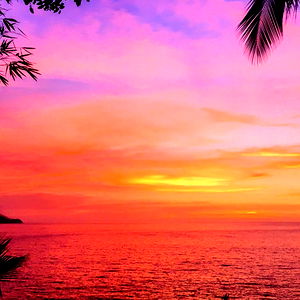 Alice Bellemore photo