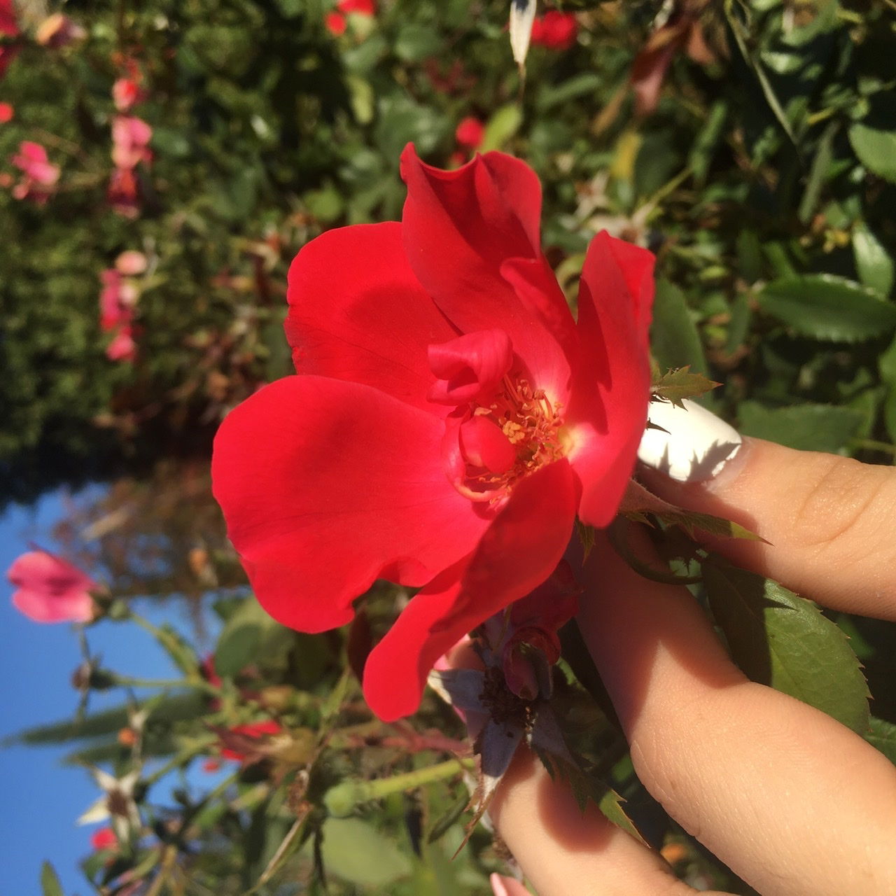 Morgan💙🌈 photo