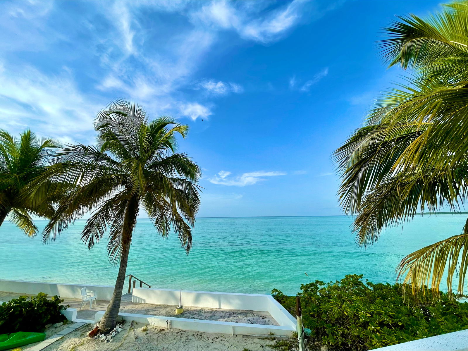 ᗷᗩ𝗂ᒪ𝖤Y🫧🐠 photo