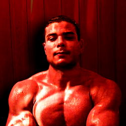 Fitness Model Paulo Costa Borrachinha Showcasing Bodybuilding Achievement