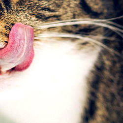 Forssa's Anniina Aho, An Alluring Model for Onlyfans