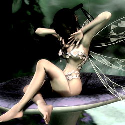 ｡  · • ●  ☯︎ ♓︎ photo