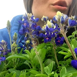 Serina's Serene Surroundings with Blue Flowers