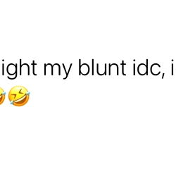 K O O K I E E 🍪 photo