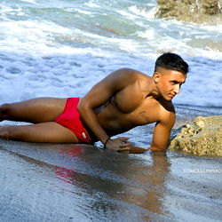 F e r s m i t h photo