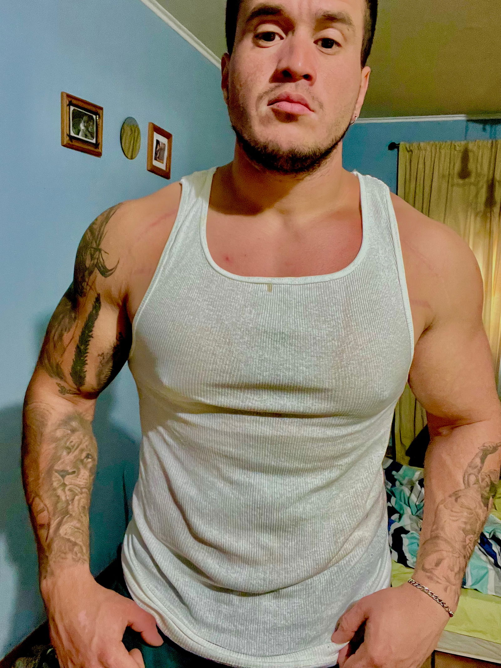 Toro negro actitud photo