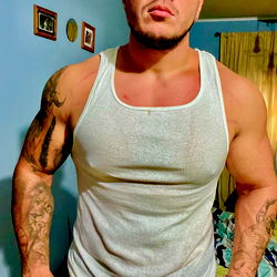 Toro negro actitud photo