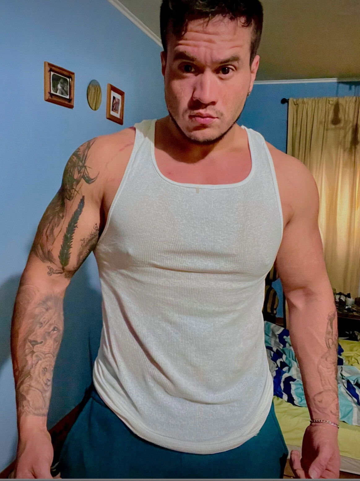 Toro negro actitud photo