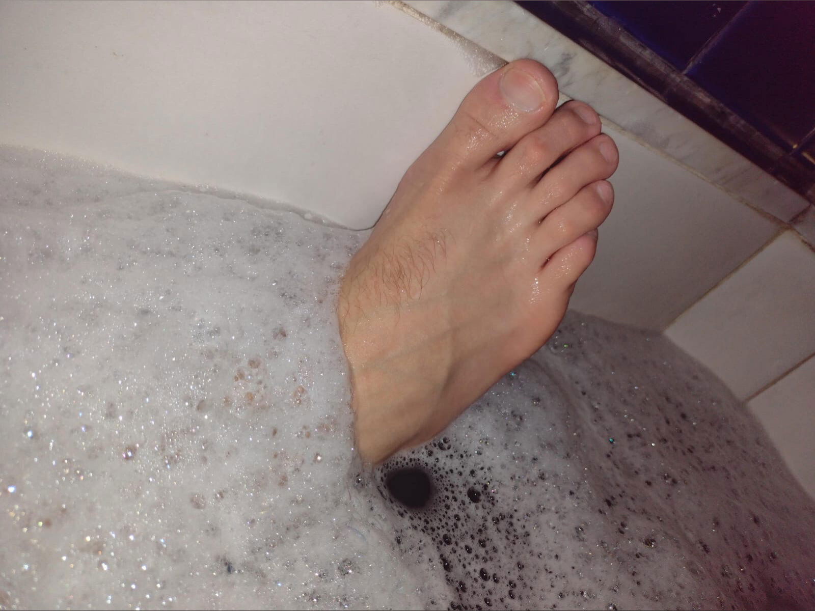 Toro negro actitud photo