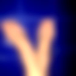 Toro negro actitud photo