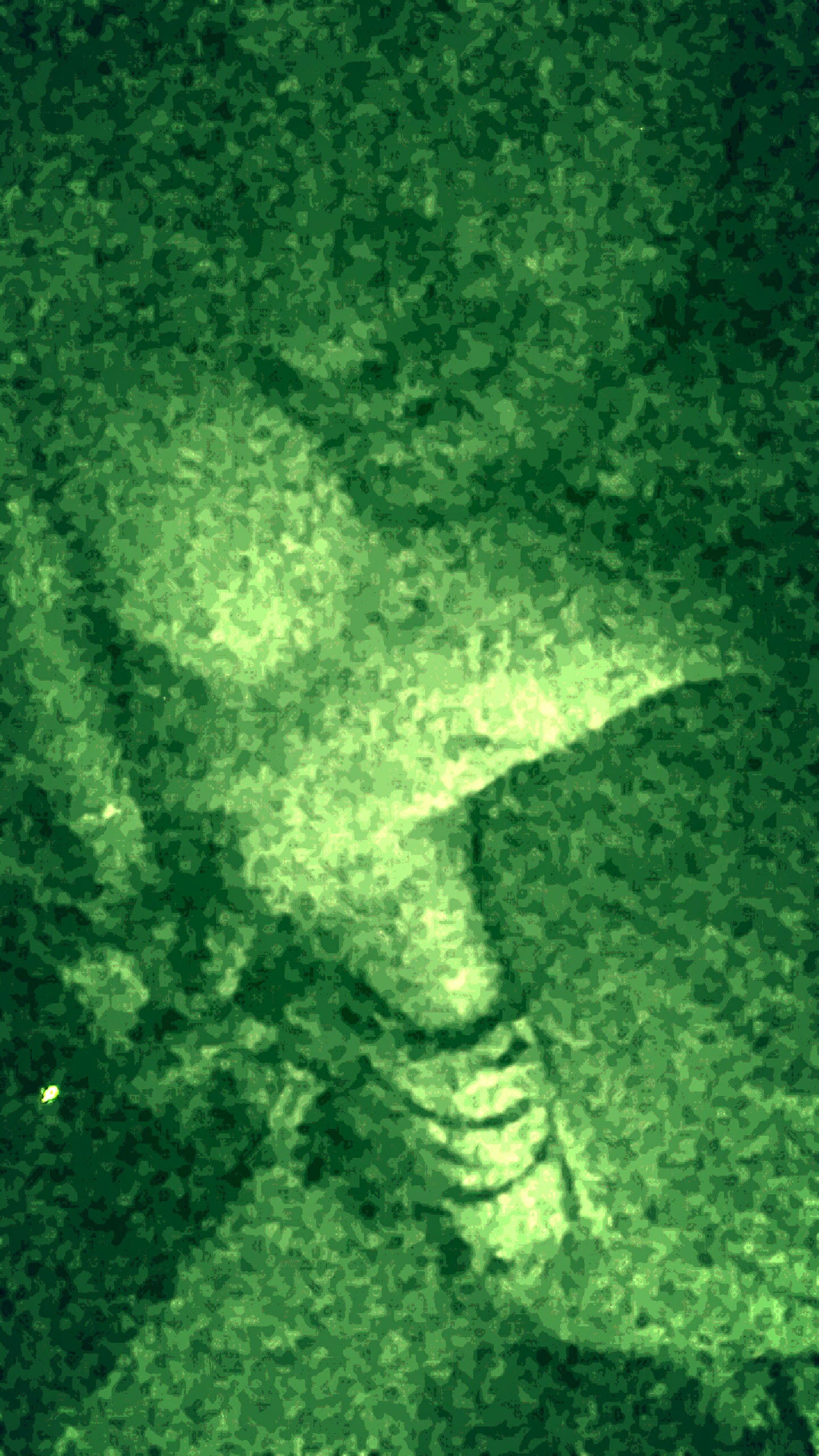 AboveAverageJay photo