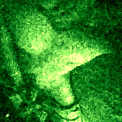 AboveAverageJay photo