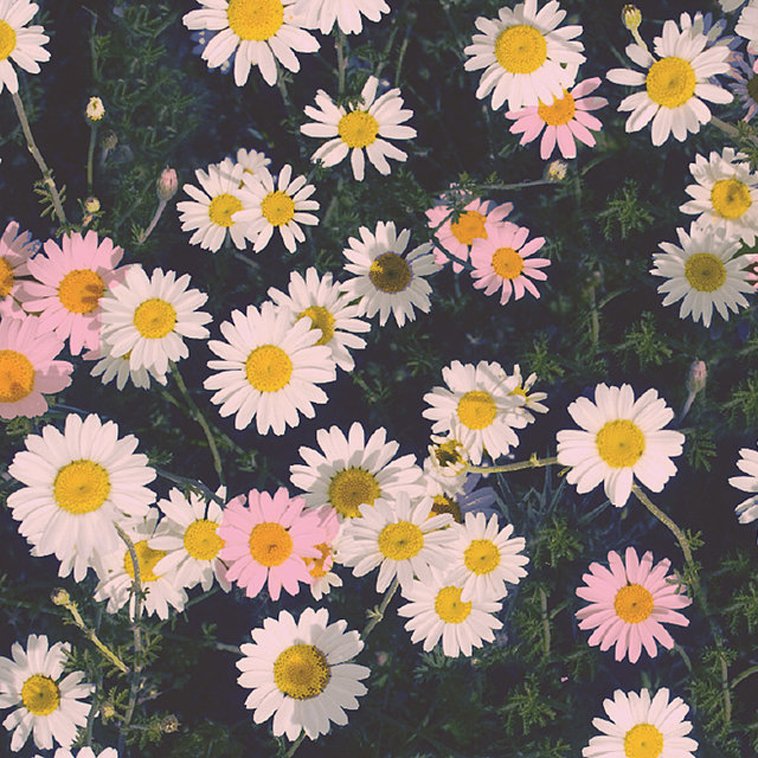 Ally Aimes 😈 photo