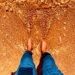 Ailenes at the Shoreline