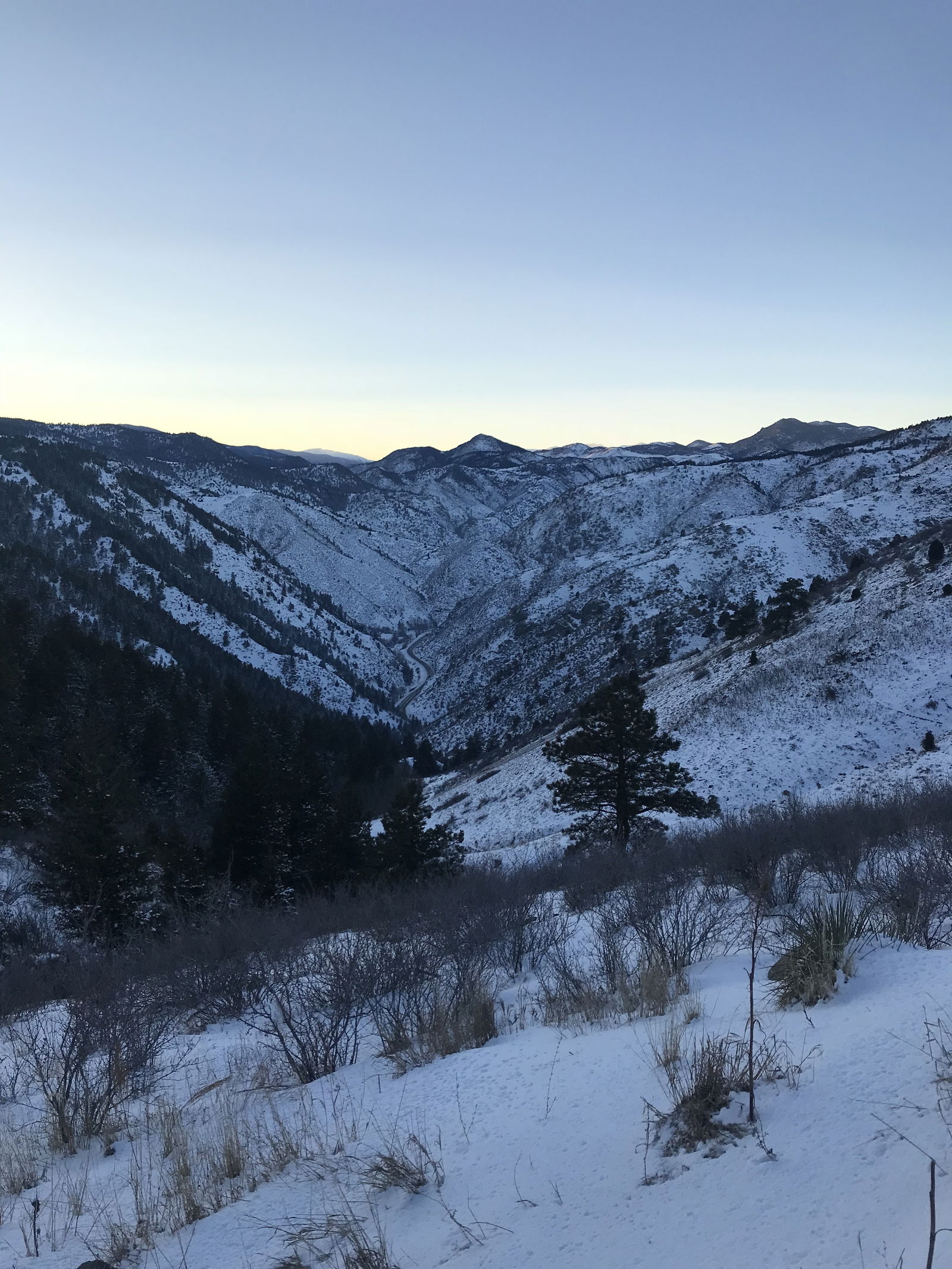 Alexander Grey photo