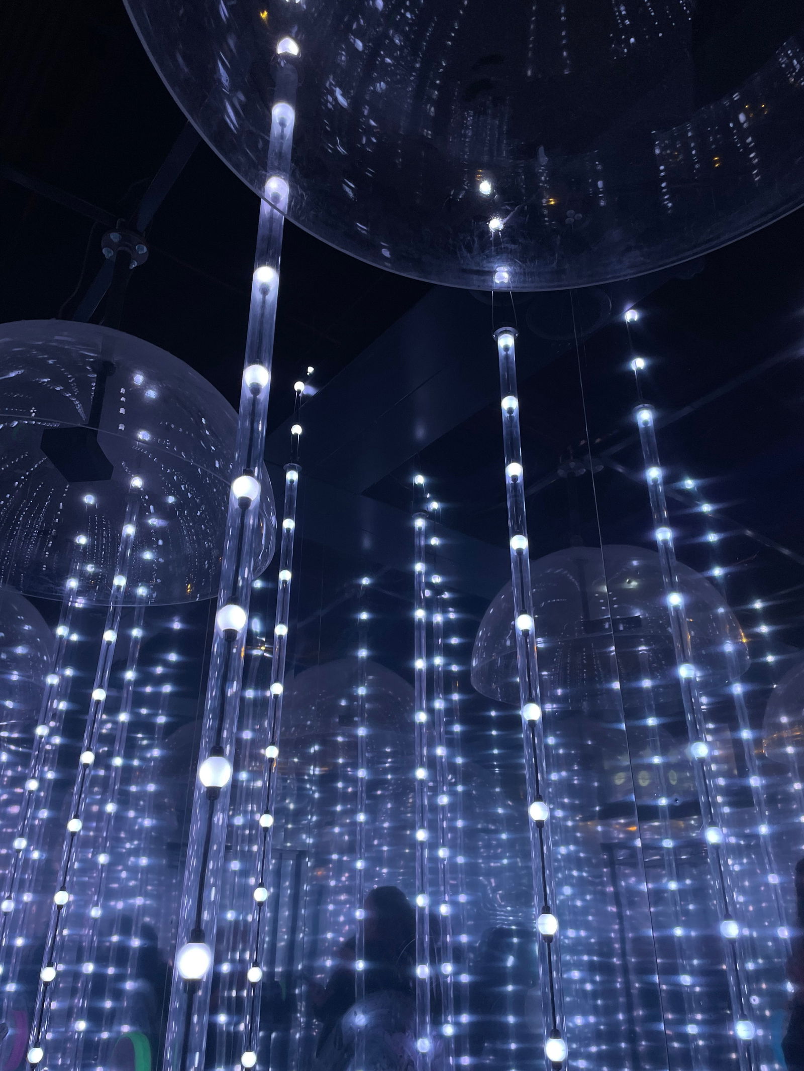 Christian Meza photo