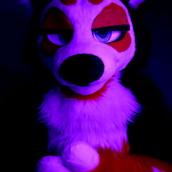 Fuji, a Las Vegas Onlyfans Model