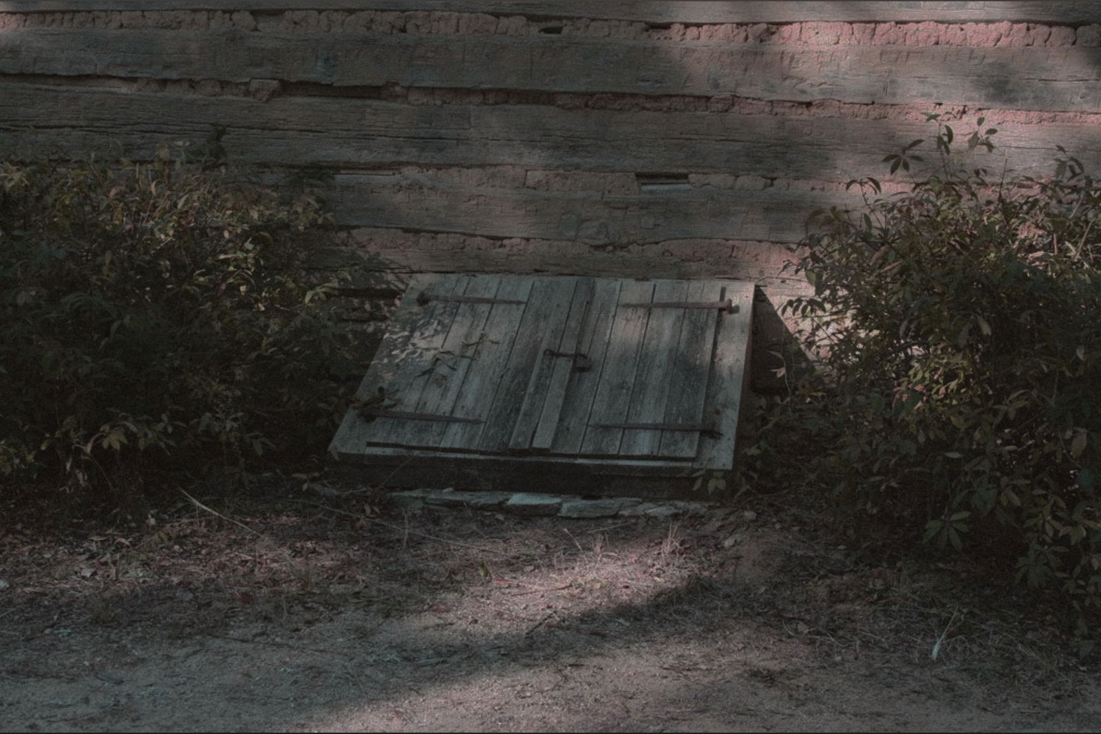 𖤐 jade’s place 𖤐 photo