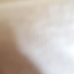 Elon Musk's Model Photography