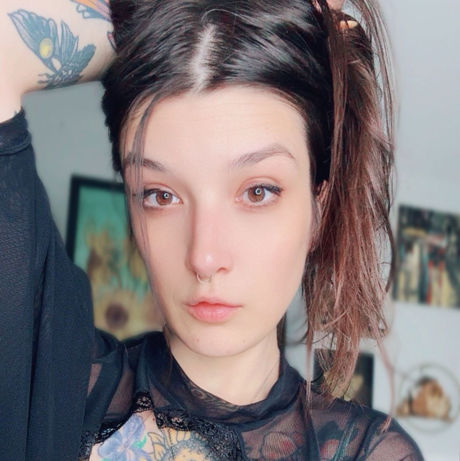 S U N F L O W E R photo