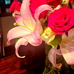 Eva Leigh Royale photo