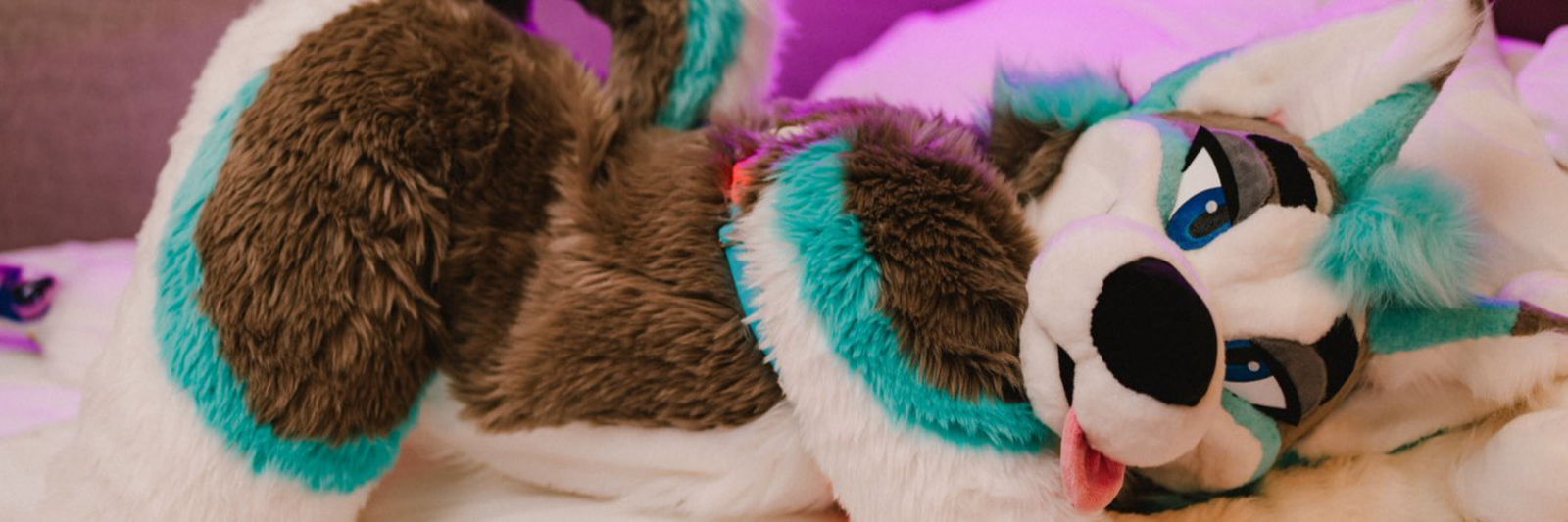 Affogato Husky photo