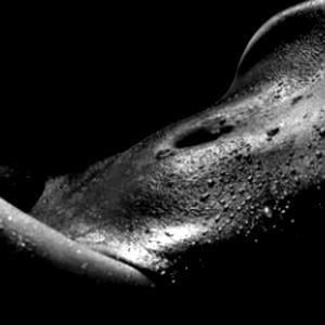 YOUR SEX STORY ๐๐ photo