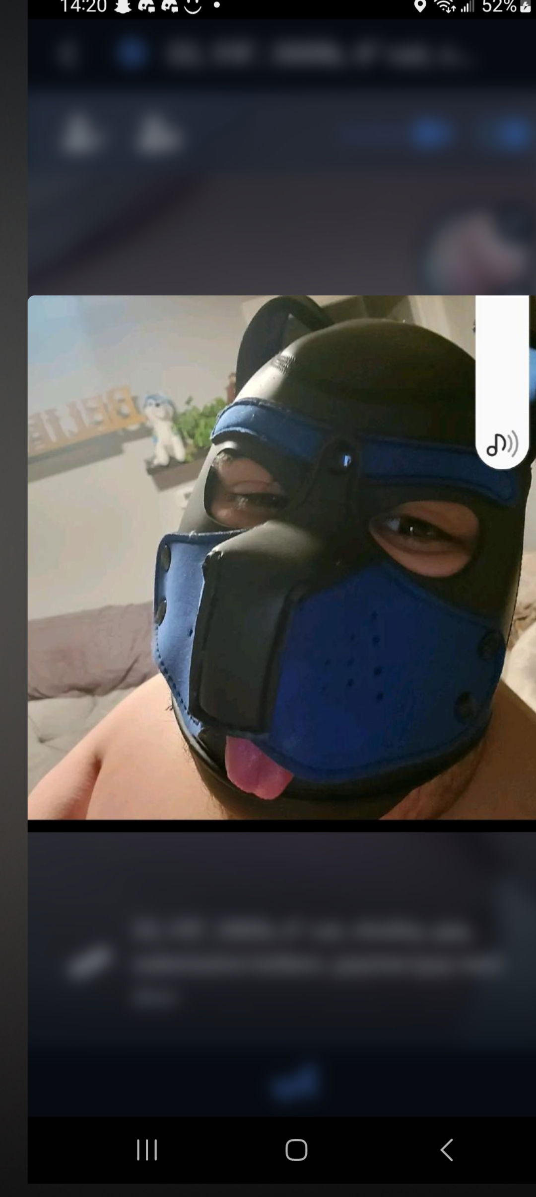 That puppy Dexter photo