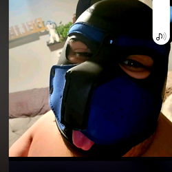 That puppy Dexter photo