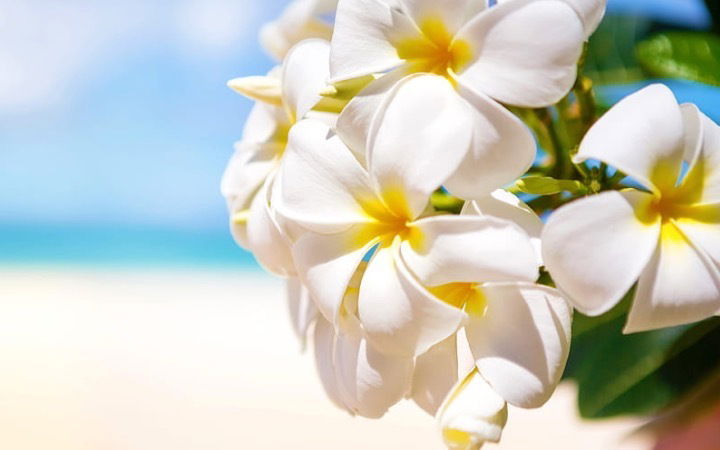 Belles Backieeeee! photo