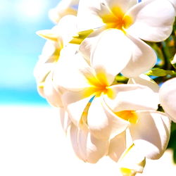 Belles Backieeeee! photo