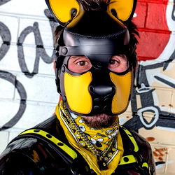 Achillies_Pup, a Brisbane BDSM model in a unique and vibrant dog costume.