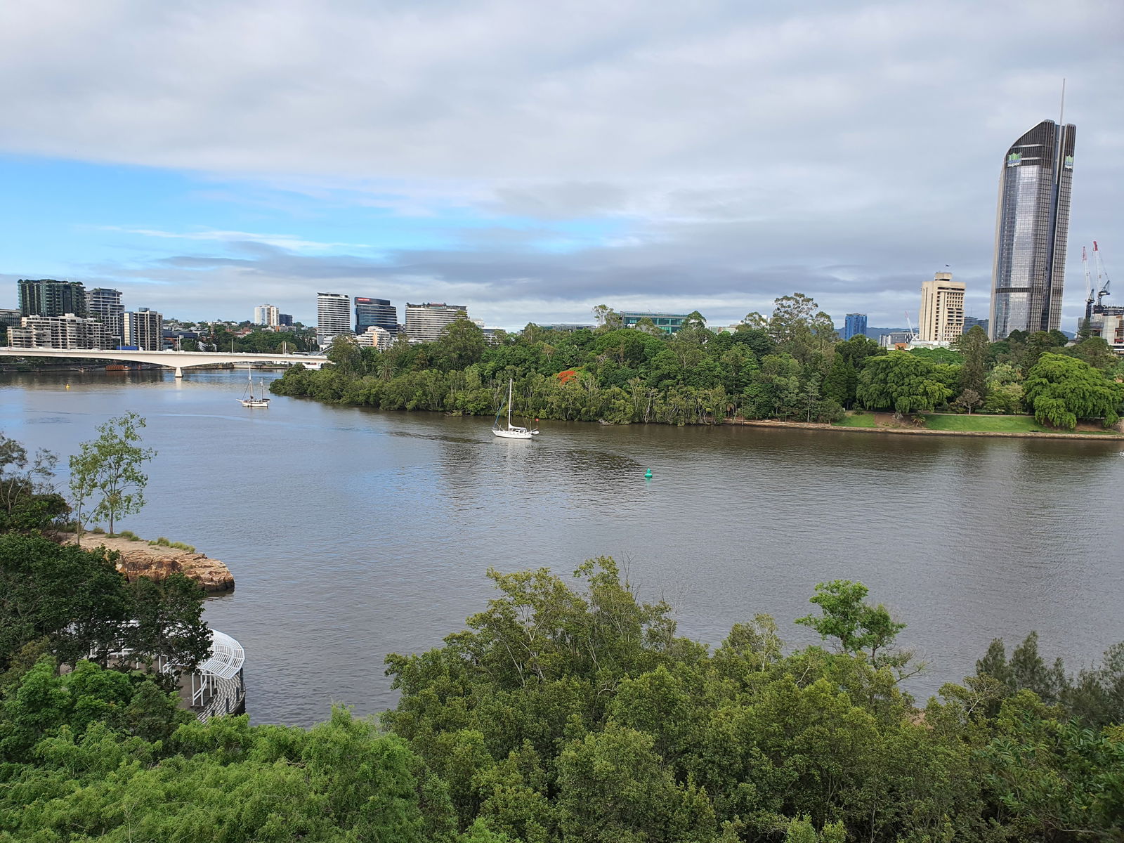 Achillies_Pup 🐶 photo