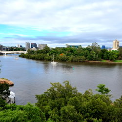 Achillies_Pup 🐶 photo